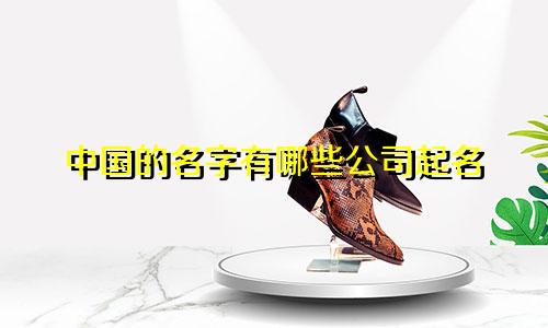 中国的名字有哪些公司起名
