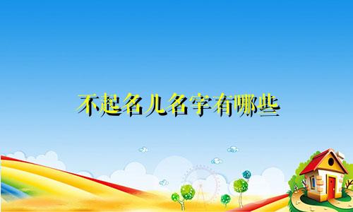不起名儿名字有哪些