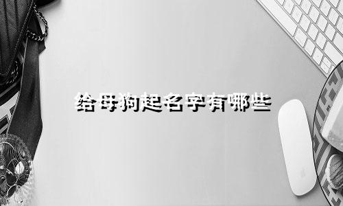 给母狗起名字有哪些