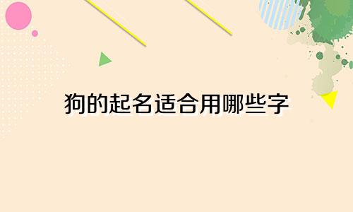 狗的起名适合用哪些字