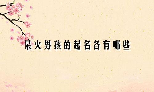 最火男孩的起名各有哪些