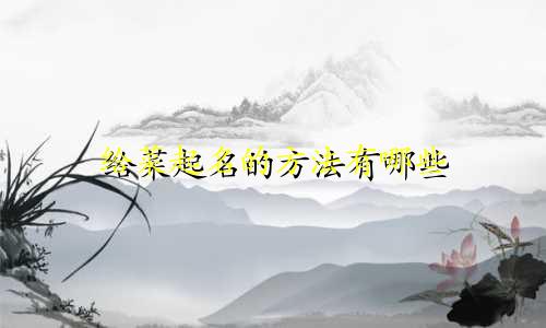 给菜起名的方法有哪些