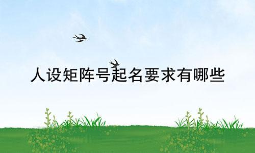 人设矩阵号起名要求有哪些
