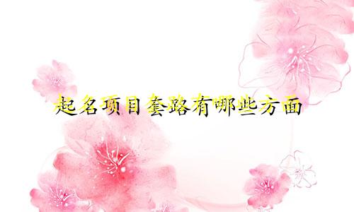 起名项目套路有哪些方面