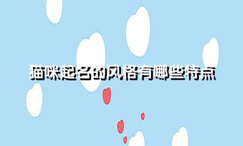 猫咪起名的风格有哪些特点