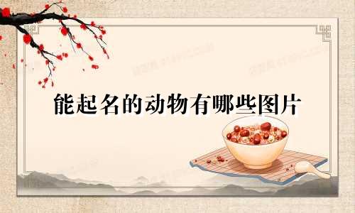 能起名的动物有哪些图片