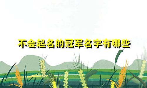 不会起名的冠军名字有哪些