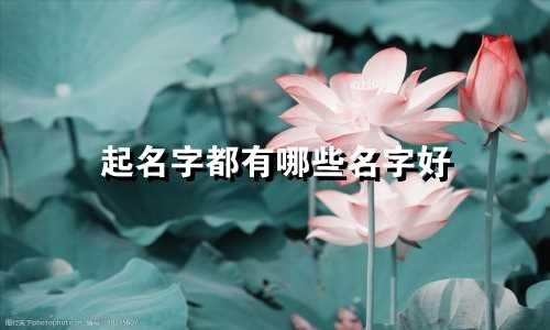 起名字都有哪些名字好