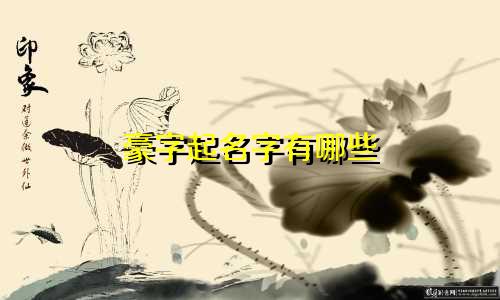 豪字起名字有哪些