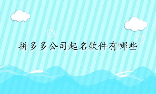 拼多多公司起名软件有哪些