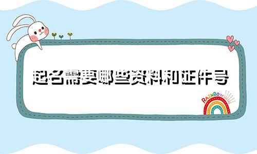 起名需要哪些资料和证件号