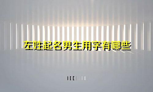 左姓起名男生用字有哪些
