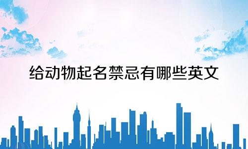 给动物起名禁忌有哪些英文