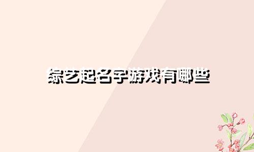 综艺起名字游戏有哪些