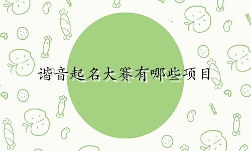 谐音起名大赛有哪些项目
