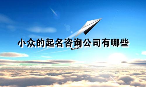 小众的起名咨询公司有哪些