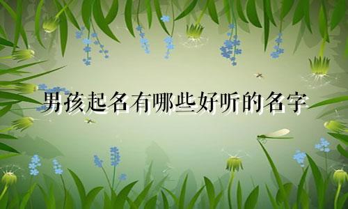 男孩起名有哪些好听的名字