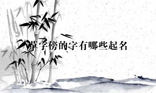 草字傍的字有哪些起名