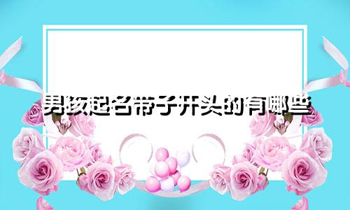 男孩起名带子开头的有哪些