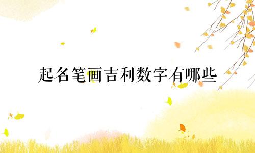 起名笔画吉利数字有哪些