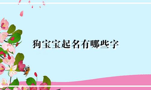 狗宝宝起名有哪些字