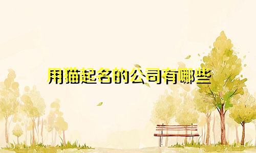 用猫起名的公司有哪些
