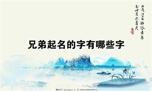 兄弟起名的字有哪些字