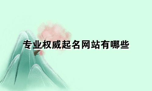 专业权威起名网站有哪些