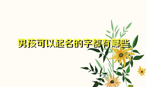 男孩可以起名的字都有哪些