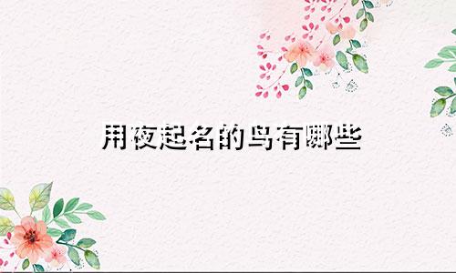 用夜起名的鸟有哪些