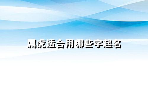 属虎适合用哪些字起名