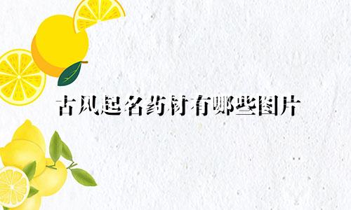 古风起名药材有哪些图片