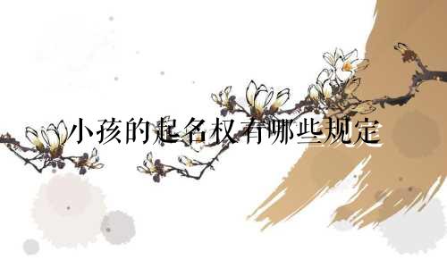 小孩的起名权有哪些规定