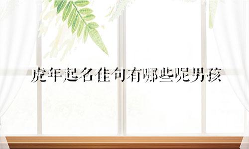 虎年起名佳句有哪些呢男孩