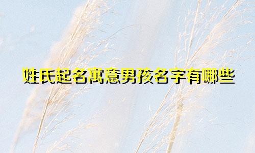 姓氏起名寓意男孩名字有哪些