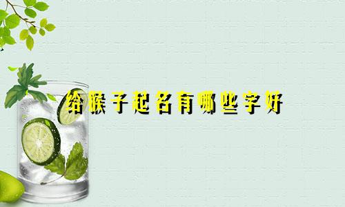 给猴子起名有哪些字好