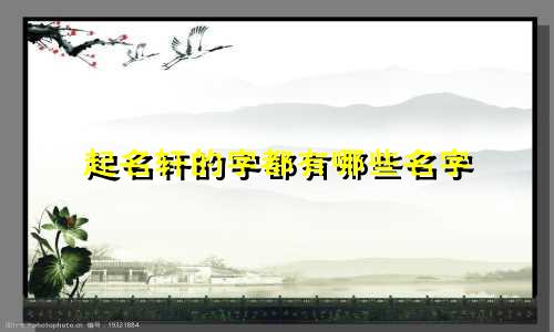 起名轩的字都有哪些名字