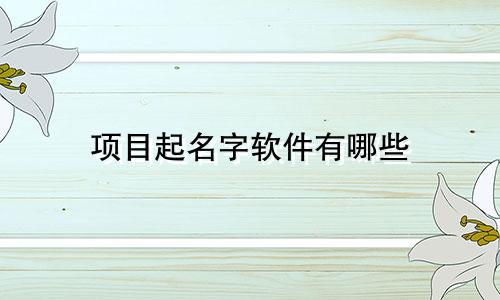 项目起名字软件有哪些