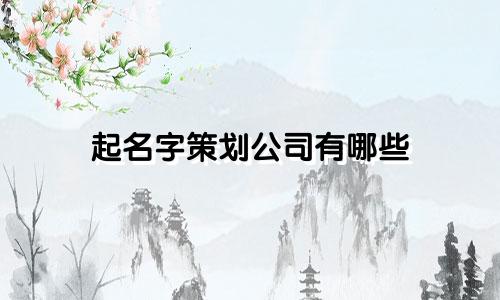 起名字策划公司有哪些