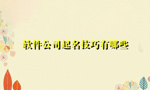 软件公司起名技巧有哪些