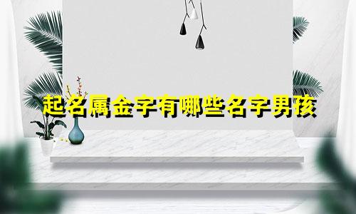 起名属金字有哪些名字男孩