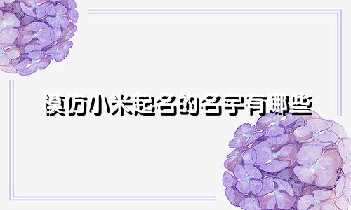 模仿小米起名的名字有哪些