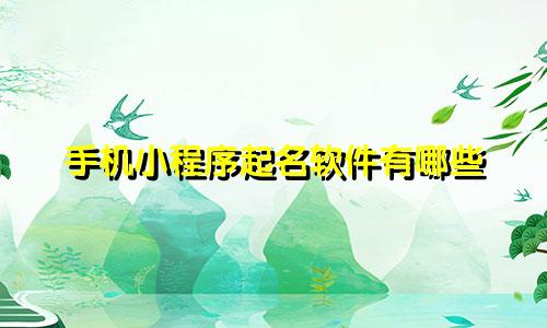 手机小程序起名软件有哪些