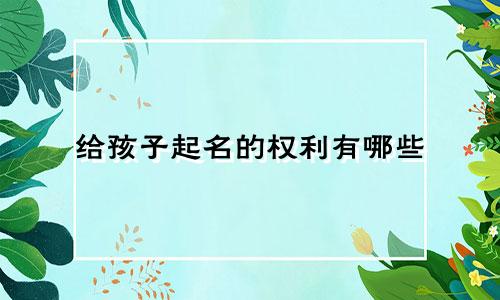给孩子起名的权利有哪些