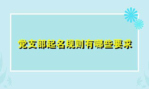 党支部起名规则有哪些要求