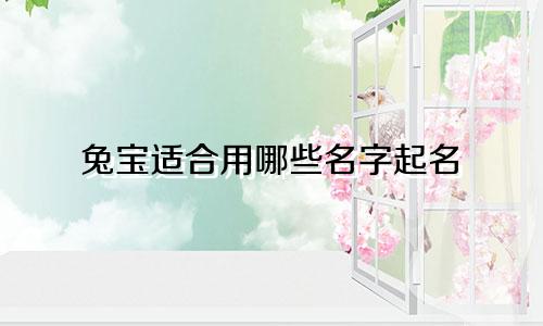 兔宝适合用哪些名字起名