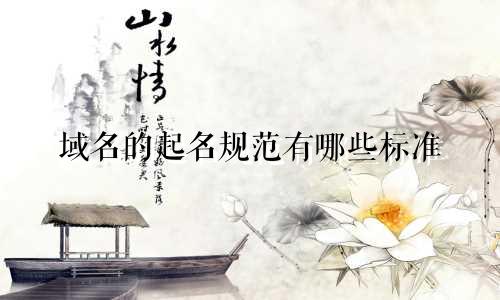 域名的起名规范有哪些标准