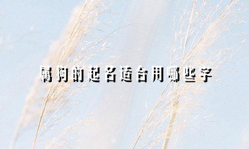 属狗的起名适合用哪些字