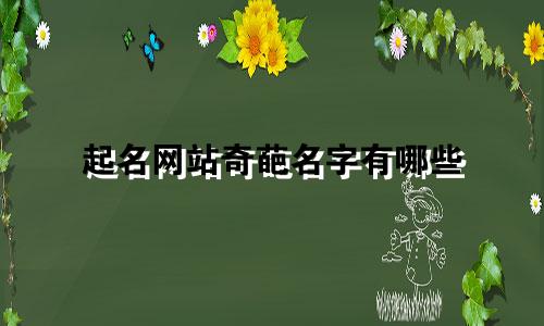 起名网站奇葩名字有哪些