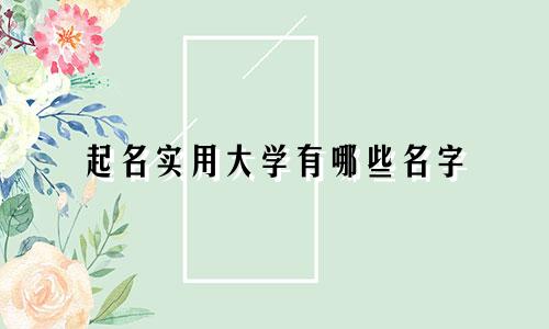 起名实用大学有哪些名字